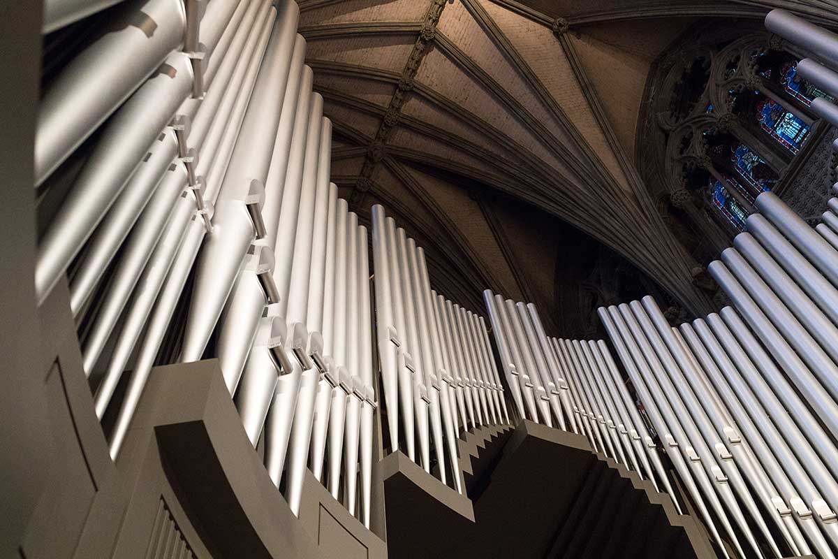 steinmeyer-2_gallery