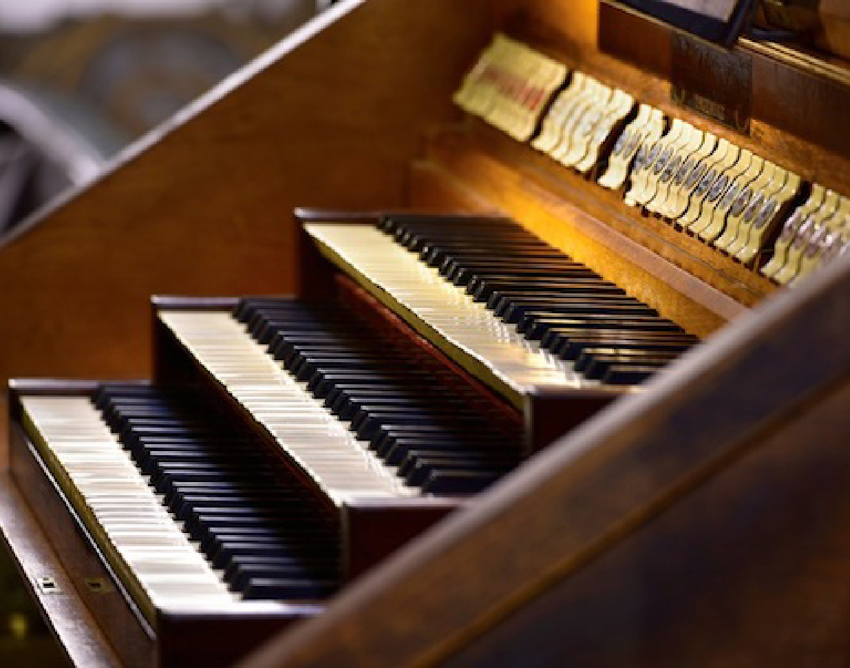 Toulouse-les-Orgues-grand-orgue-Saint-Jerome2
