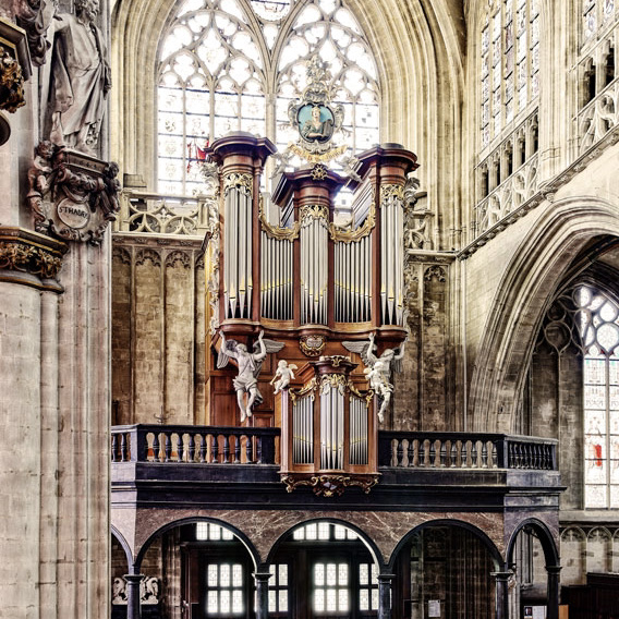 GOYNAUT / WESTENFELDER